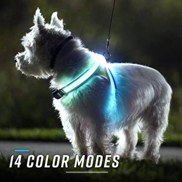 Noxgear LightHound Durable Illuminated Dog Harness