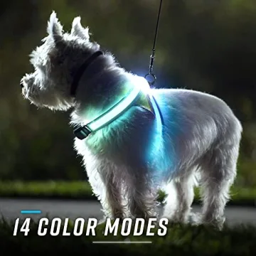 Noxgear LightHound Durable Illuminated Dog Harness