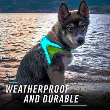 Noxgear LightHound Durable Illuminated Dog Harness