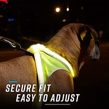 Noxgear LightHound Durable Illuminated Dog Harness