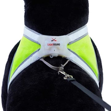 Noxgear LightHound Durable Illuminated Dog Harness