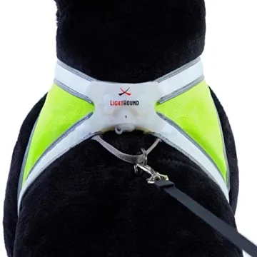 Noxgear LightHound Durable Illuminated Dog Harness