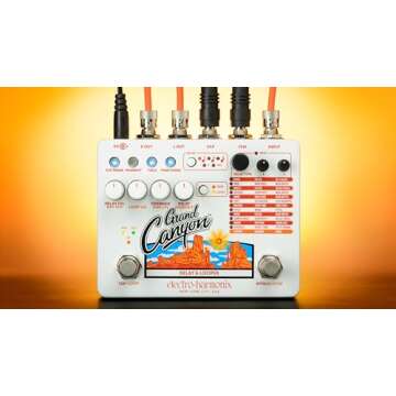 Electro-Harmonix Grand Canyon Delay Pedal for Musicians