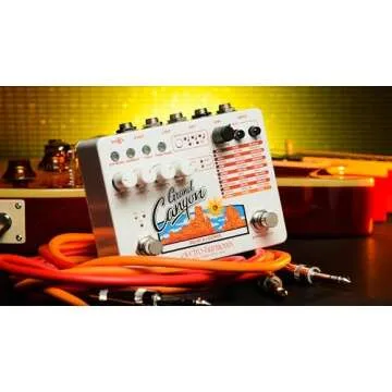 Electro-Harmonix Grand Canyon Delay Pedal for Musicians