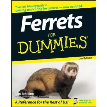 Ferrets For Dummies 2e – Expert Guide to Ferret Care by Kim Schilling