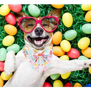 Buy DOGWONG Easter Collar with Bowtie for Dogs