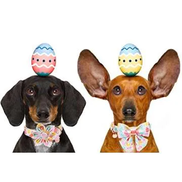 Buy DOGWONG Easter Collar with Bowtie for Dogs