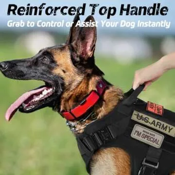 Adjustable Tactical Dog Harness for Medium Breeds