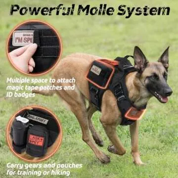 Adjustable Tactical Dog Harness for Medium Breeds