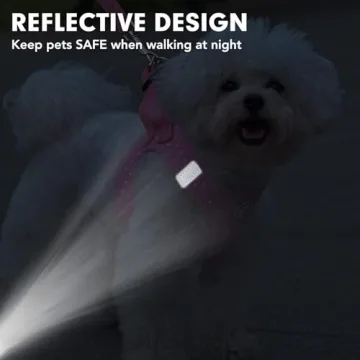 BINGPET No Pull Reflective Vest Harness for Puppies Cats