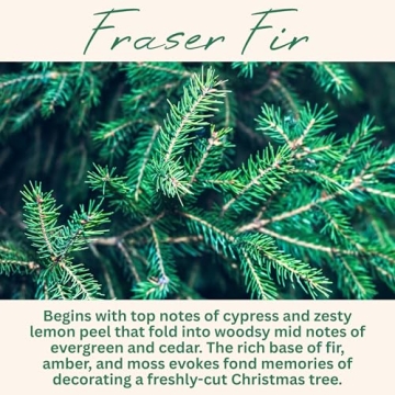 Wickless Pine Candle for Warmers | Non-Toxic Soy Wax