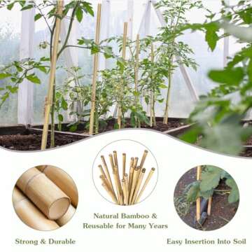 Natural Bamboo Plant Stakes for Indoor and Outdoor Use