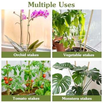 Natural Bamboo Plant Stakes for Indoor and Outdoor Use