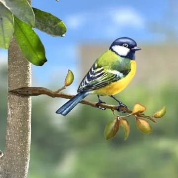 Vibrant Metal Bird Decoration for Garden Courtyard Art