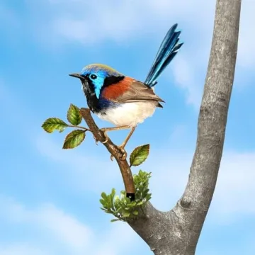 Vibrant Metal Bird Decoration for Garden Courtyard Art
