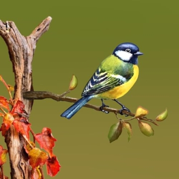 Vibrant Metal Bird Decoration for Garden Courtyard Art