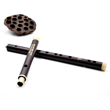 NICOSHINE C Key Dizi - Beginner's Chinese Flute with Accessories