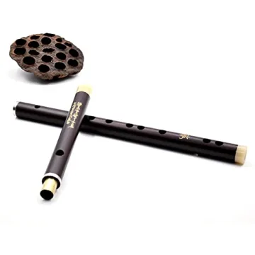 NICOSHINE C Key Dizi - Beginner's Chinese Flute with Accessories