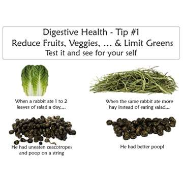 Sherwood Pet Health Digestive Support, Papaya (100 Tablets - 60 Grams). Contains Natural Motility Herbs That Regulate The Digestive Tract, Improve The Gut microbiome and Stimulate The Appetite.