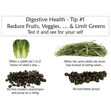 Sherwood Pet Health Digestive Support, Papaya (100 Tablets - 60 Grams). Contains Natural Motility Herbs That Regulate The Digestive Tract, Improve The Gut microbiome and Stimulate The Appetite.