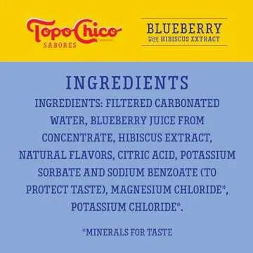 Topo Chico Blueberry Hibiscus Sparkling Water 8pk