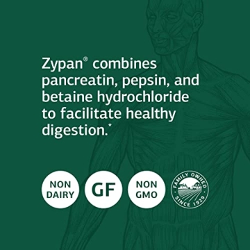 Standard Process Zypan - Digestive Health Supplement