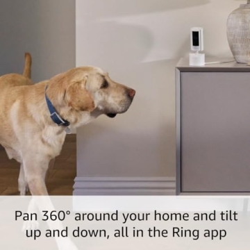 Ring Pan-Tilt Indoor Cam: 360° Coverage & HD Video