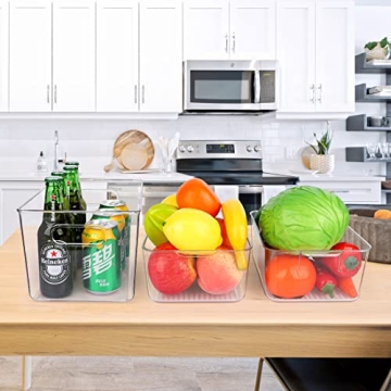 Clear Plastic Food Storage Bins – Set of 10 Organizers