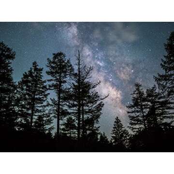 Olympus M.Zuiko Digital ED 17mm f/1.2 PRO Lens