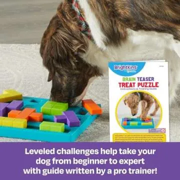 Brightkins Brain Teaser Treat Puzzle for Interactive Fun