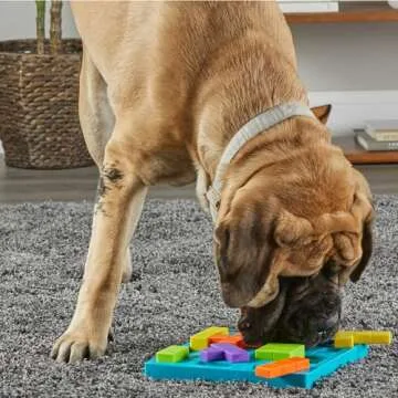 Brightkins Brain Teaser Treat Puzzle for Interactive Fun