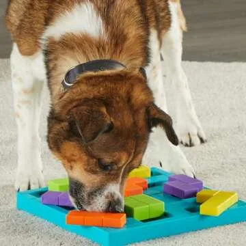 Brightkins Brain Teaser Treat Puzzle for Interactive Fun