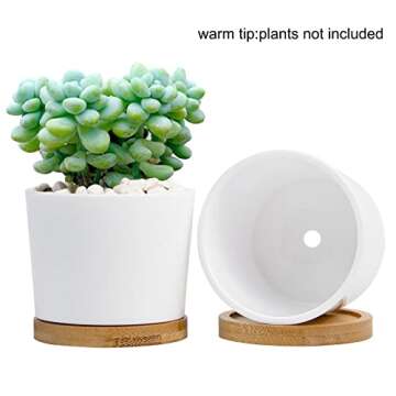 QCQHDU Succulent Pots 3 Pack, 3.15 Inch Small Plastic Succulent Pots with Drainage, White Succulent Planters Flower Pots for Plants, Plants Not Included