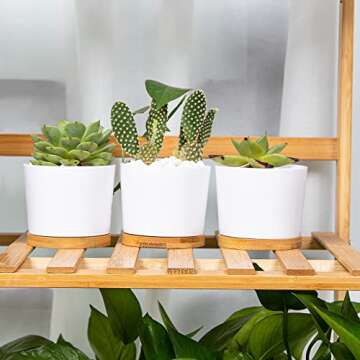 QCQHDU Succulent Pots 3 Pack, 3.15 Inch Small Plastic Succulent Pots with Drainage, White Succulent Planters Flower Pots for Plants, Plants Not Included