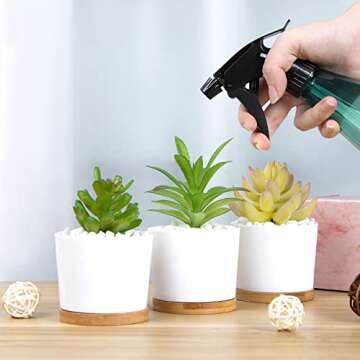 QCQHDU Succulent Pots 3 Pack, 3.15 Inch Small Plastic Succulent Pots with Drainage, White Succulent Planters Flower Pots for Plants, Plants Not Included