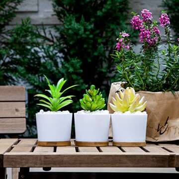 QCQHDU Succulent Pots 3 Pack, 3.15 Inch Small Plastic Succulent Pots with Drainage, White Succulent Planters Flower Pots for Plants, Plants Not Included