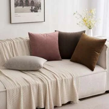 MIULEE Pack of 2, Velvet Soft Solid Decorative Square Throw Pillow Covers Set Cushion Case for Sofa Bedroom Car 20 x 20 Inch 50 x 50 Cm