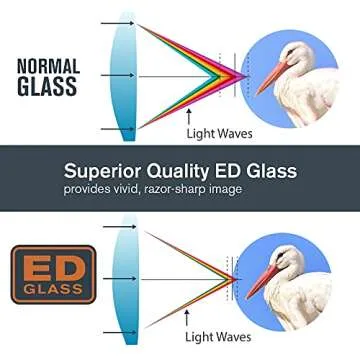 Celestron–Nature DX ED 10x50 Premium Binoculars – Extra-Low Dispersion Objective Lenses–Outdoo...