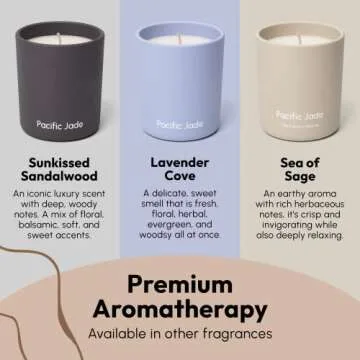 Premium Pacific Jade Golden Vanilla Candle Experience Luxury