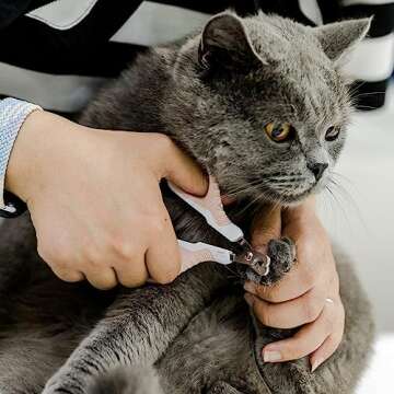 Mr. Pen- Cat Nail Clipper, Pink Cat Nail Trimmer, Cat Nail Clippers, Cat Claw Clippers, Cat Clippers for Nails, Pet Nail Clippers, Kitten Nail Clipper, Small Dog Nail Clipper, Cat Claw Trimmer