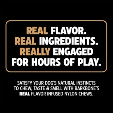 Pet Qwerks Dinosaur BarkBone Tough Chew Dog Bone