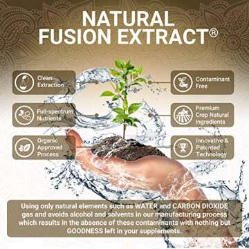 Organic Turmeric Curcumin Capsules - Includes Organic Ginger and Black Pepper Extracts | Certified Organic by USDA | 100% Natural Herbal Supplement | 60 Pills