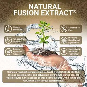 Organic Turmeric Curcumin Capsules - Includes Organic Ginger and Black Pepper Extracts | Certified Organic by USDA | 100% Natural Herbal Supplement | 60 Pills