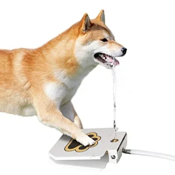 Premium Outdoor Dog Water Fountain with Brass Valve