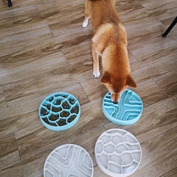 Stylish 8 Inch Slow Feeder Bowl for Dogs and Cats