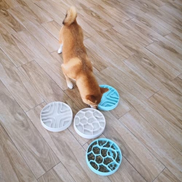 Stylish 8 Inch Slow Feeder Bowl for Dogs and Cats