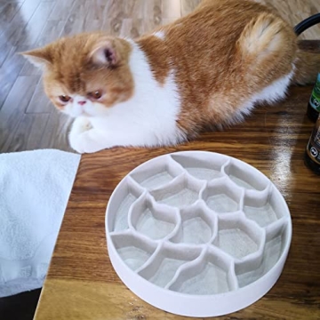 Stylish 8 Inch Slow Feeder Bowl for Dogs and Cats