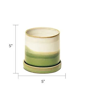 CHIVE ‘Minute’ 5” Planter Pot – Colorful Succulent Pots