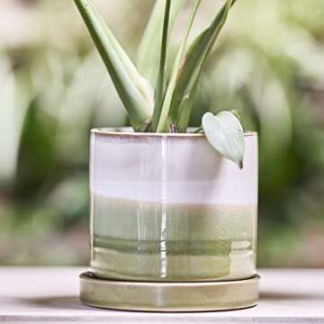 CHIVE ‘Minute’ 5” Planter Pot – Colorful Succulent Pots