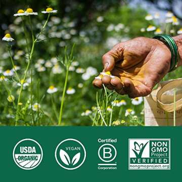 Organic India Trikatu, Supports Digestive Enzymes and Metabolism 90 count